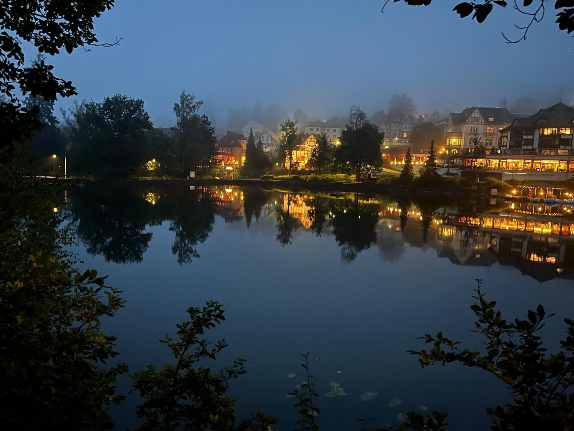 Haus Am See Bad Sachsa Εξωτερικό φωτογραφία