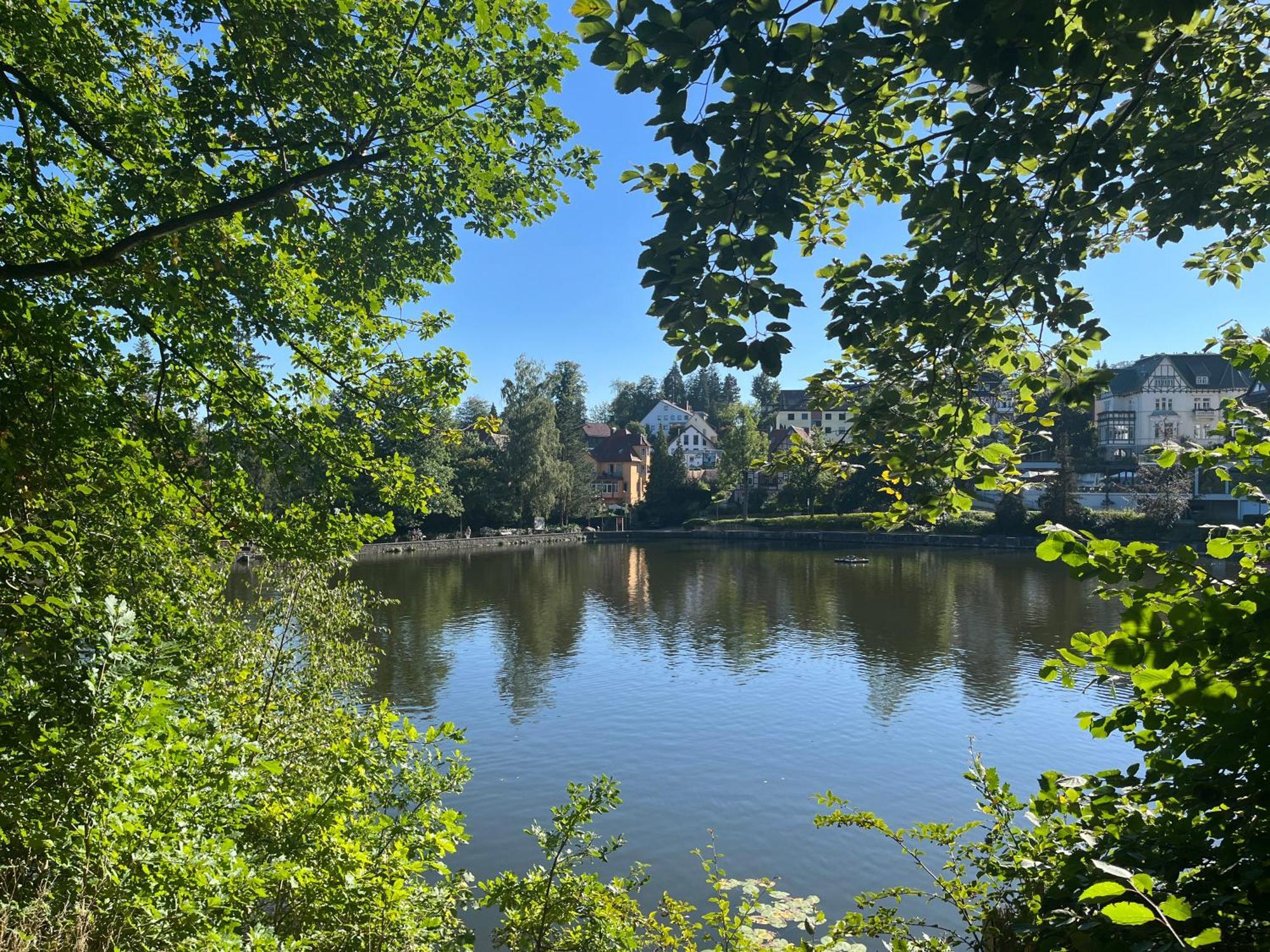Haus Am See Bad Sachsa Εξωτερικό φωτογραφία