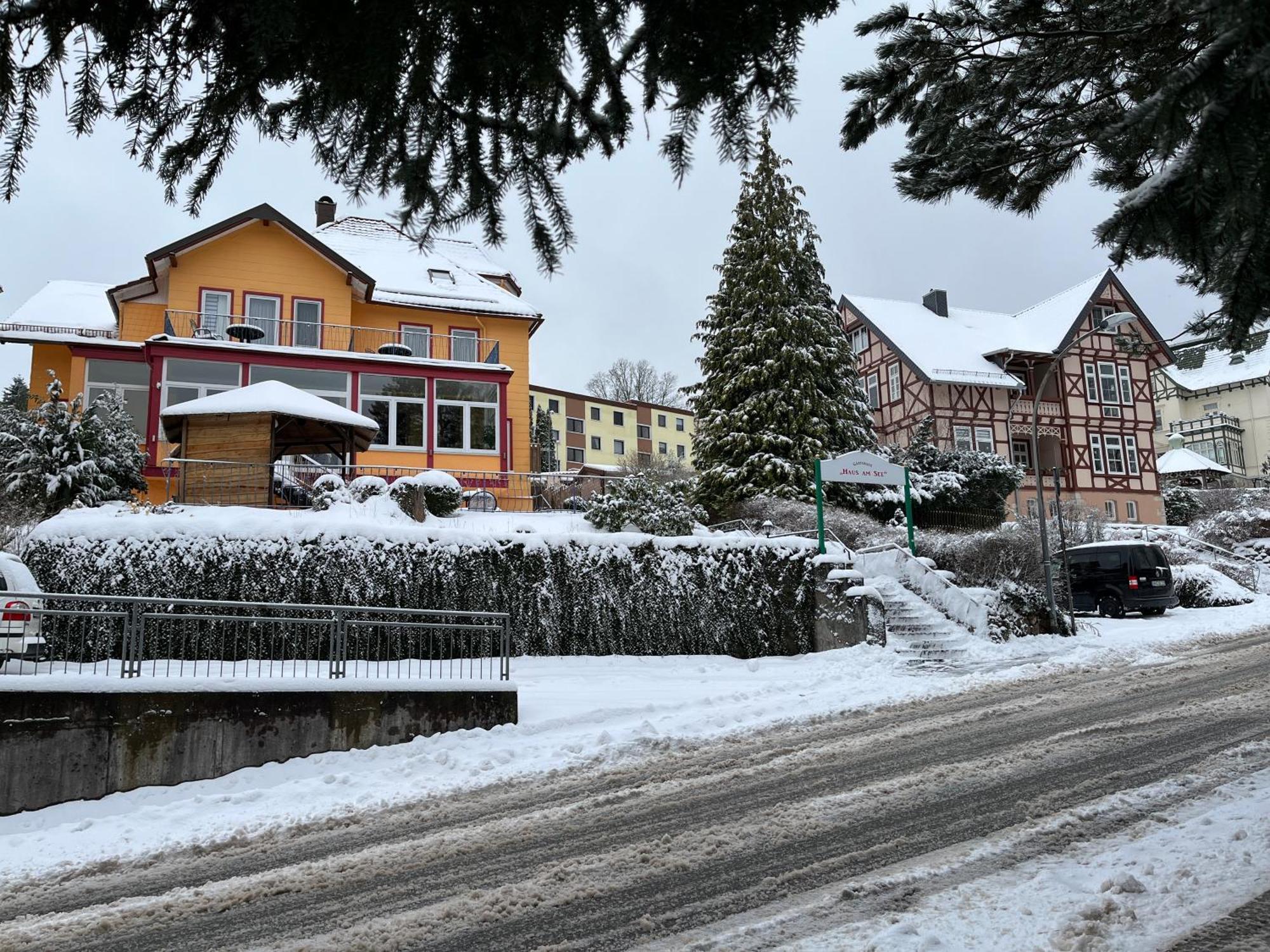 Haus Am See Bad Sachsa Εξωτερικό φωτογραφία